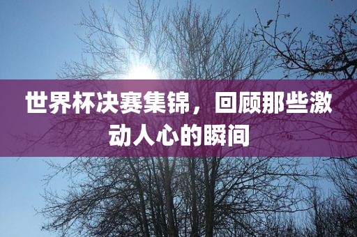 世界杯决赛集锦，回顾那些激动人心的瞬间