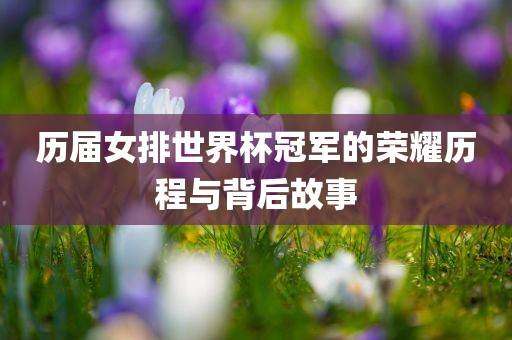 历届女排世界杯冠军的荣耀历程与背漯河市盈旭机械设备有限公司后故事