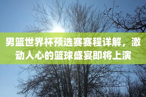 男篮世界杯预选赛赛程详解，激动人心的篮球盛宴即将上演