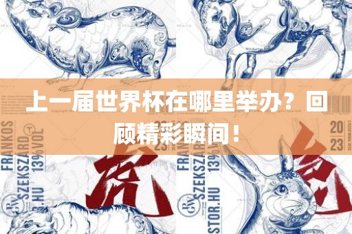上一届世界杯在哪里举办？回顾精彩瞬间！