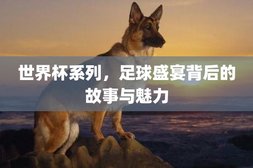 世界杯系列，足球盛宴背后的故事与魅力