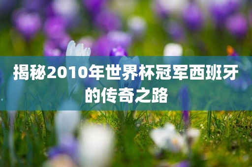 揭秘2010年世界杯冠军西班牙的传奇之路