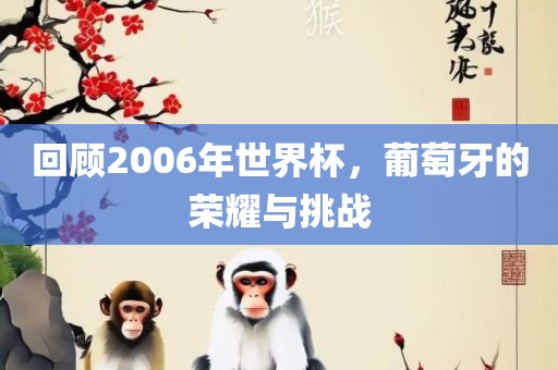 回顾2006年世界杯漯河市盈旭机械设备有限公司，葡萄牙的荣耀与挑战
