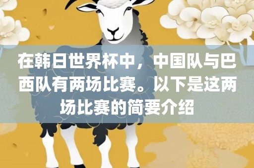 在韩日世界杯中，中国队与巴西队有两场比赛。以下是这两场比赛的简要介绍
