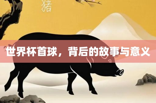 世界杯首球，背后的故事与意义