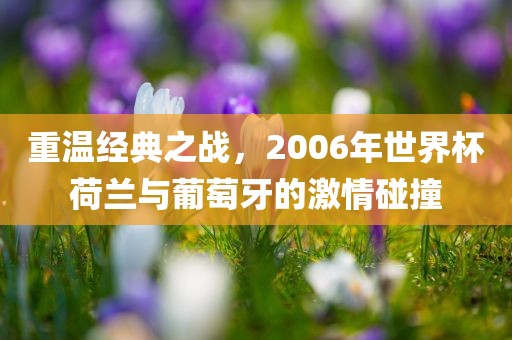 重温经典之战，2006年世界杯荷兰与葡萄牙的激情碰撞漯河市盈旭机械设备有限公司