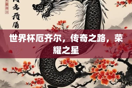 世界杯厄齐尔，传奇之路，荣耀之星
