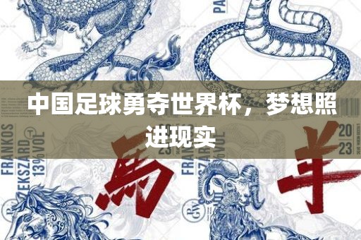 中国足球勇夺世界杯，梦想照进现实