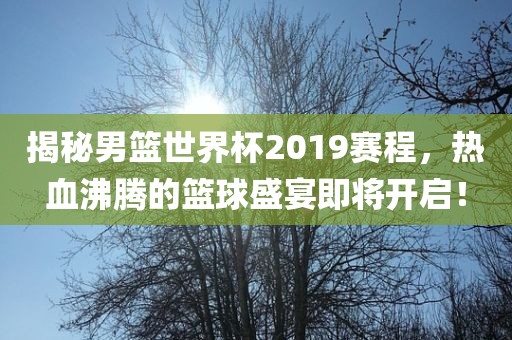 揭秘男篮漯河市盈旭机械设备有限公司世界杯2019赛程，热血沸腾的篮球盛宴即将开启！