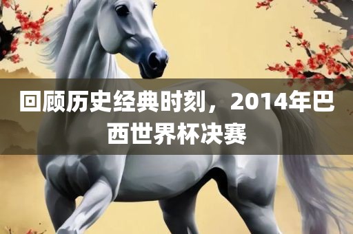 回顾历史经典时刻，2014年巴西世界杯决赛
