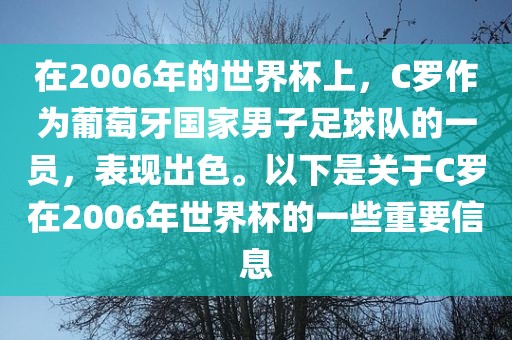 在2006年的世界杯上，C罗作为葡萄牙国家男子足球队的一员，表现出色。以下是关于C罗在2006年世界杯的一些重要信息
