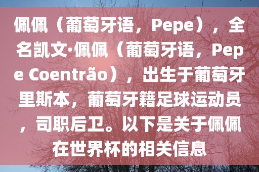 佩佩（葡萄牙语，Pepe），全名凯文·佩佩（葡萄牙语，Pepe Coentr?o），出生于葡萄牙里斯本，葡萄牙籍足球运动员，司职后卫。以下是关于佩佩在世界杯的相关信息漯河市盈旭机械设备有限公司