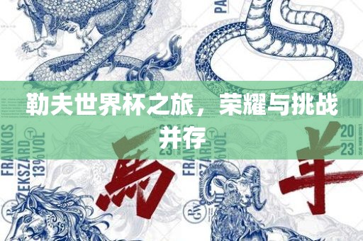 勒夫世界杯之旅，荣耀与挑战并存
