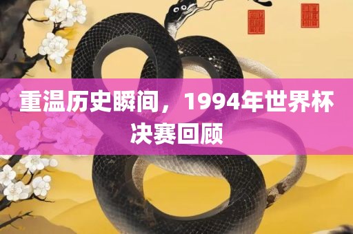 重温历史瞬间，1994年世界杯决赛回顾漯河市盈旭机械设备有限公司