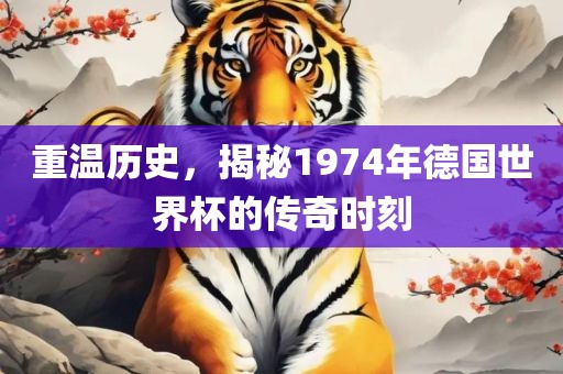 重温历史，揭秘1974年德国世界杯的传奇时刻漯河市盈旭机械设备有限公司