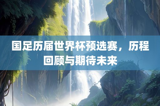 国足历届世界杯预选赛，历程回顾与期待未来