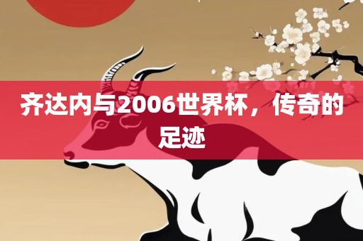 齐达内与2006世界杯，传奇的足迹