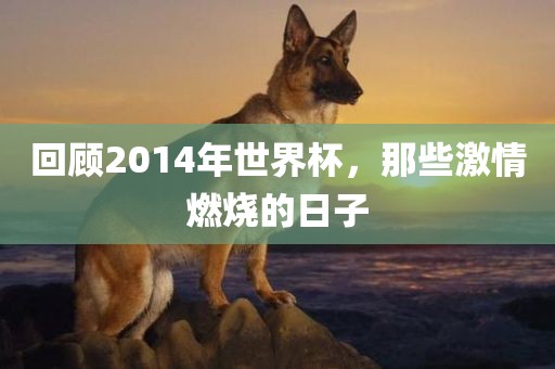 回顾2014年世界杯，那些激情燃烧的日子