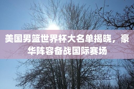 美国男篮世界杯大名单揭晓，豪华阵容备战国际赛场