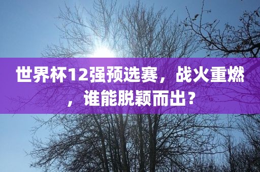 世界杯12强预选赛，战火重燃，谁能脱颖而出？