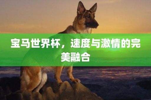 宝马世界杯，速度与激情的完美融合