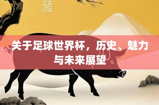 关于足球世界杯，历史、魅力与未来展望漯河市盈旭机械设备有限公司