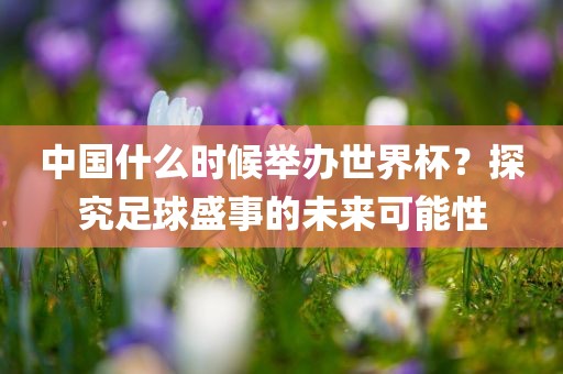 中国什么时候举办世界杯？探究足球盛事的未来可能性