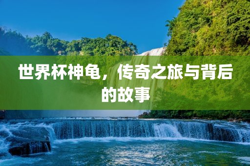 世界杯神龟，传奇之旅与背后的故事