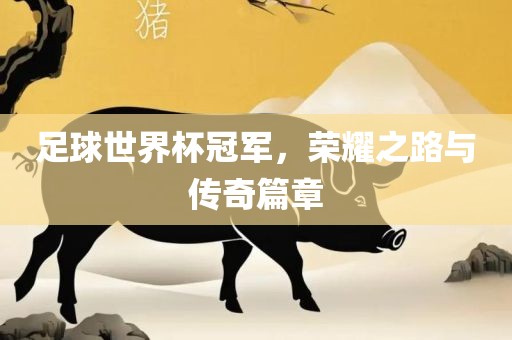 足球世界杯冠军，荣耀之路与传奇篇章
