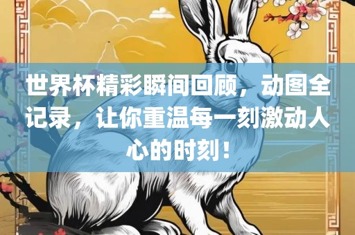 世界杯精彩瞬间回顾，动图全记录，让你重温每一刻激动人心的时刻！