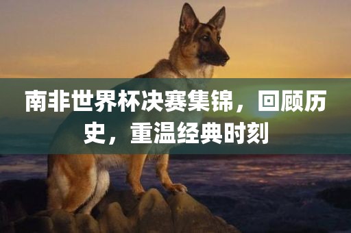 南非世界杯决赛集锦，回顾历史，重温经典时刻漯河市盈旭机械设备有限公司