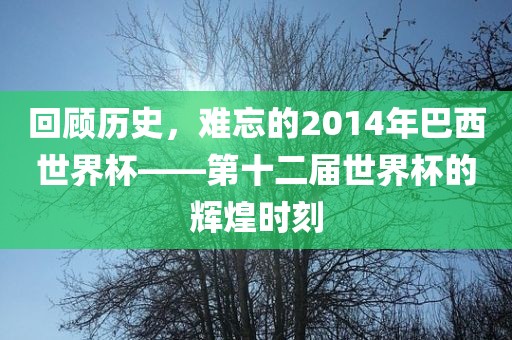 回顾历史，难忘的2014年巴西世界杯——第十二届世界杯的辉煌时刻