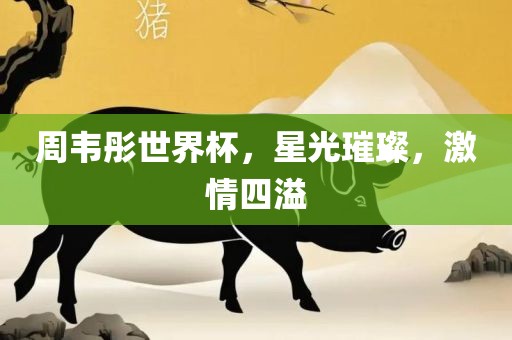 周韦彤世界杯，星光璀璨，激情四溢