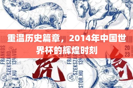 重温历史篇章，2014年中国世界杯的辉煌时刻漯河市盈旭机械设备有限公司