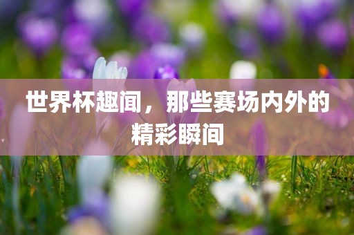 世界杯趣闻，那些赛场内外的精彩瞬间
