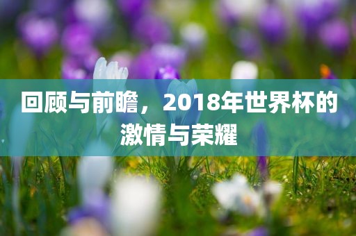回顾与前瞻，2018年世界杯的激情与荣耀漯河市盈旭机械设备有限公司