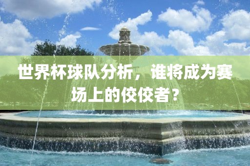 世界杯球队分析，谁将成为赛场上的佼佼者？