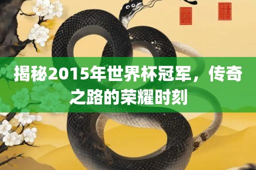 揭秘2015年世界杯冠军，传奇之路的荣耀时刻