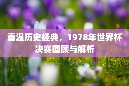 重温历史经典，1978年世界杯决赛回顾与解析