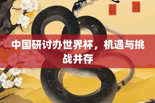 中国研讨办世界杯，机遇与挑战并存