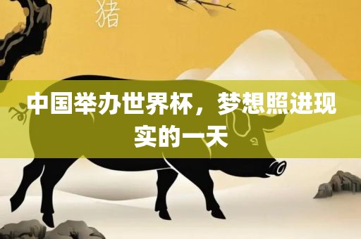 中国举办世界杯，梦想照进现实的一天