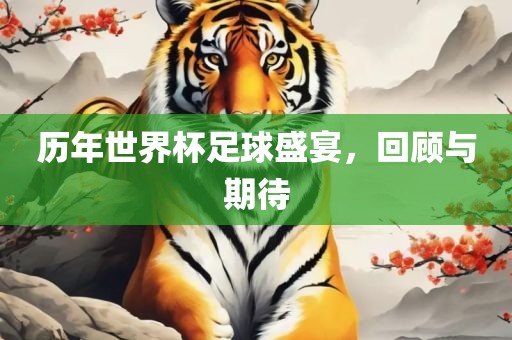 历年世界杯足球盛宴，回顾与期待漯河市盈旭机械设备有限公司