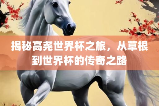 揭秘高尧世界杯之旅，从草根到世界杯的传奇之路