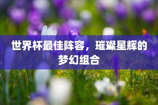 世界杯最佳阵容，璀璨星辉的梦幻组合