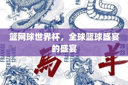篮网球世界杯，全球篮球盛宴的盛宴