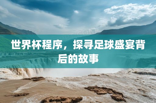 世界杯程序，探寻足球盛宴背后的故事