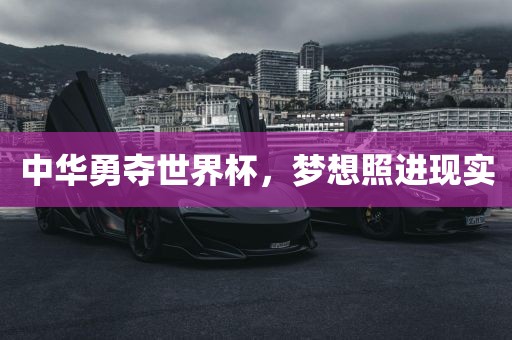 中华勇夺世界杯，梦想照进现实