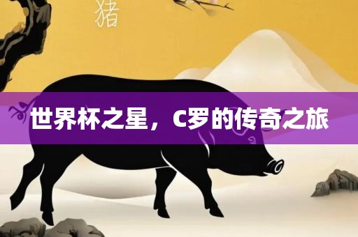 世界杯之星，C罗的传奇之旅漯河市盈旭机械设备有限公司