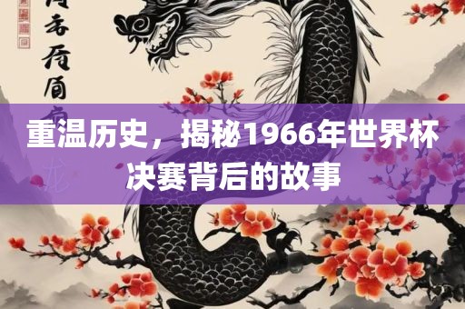重温历史，揭秘1966年世界杯决赛背后的故事