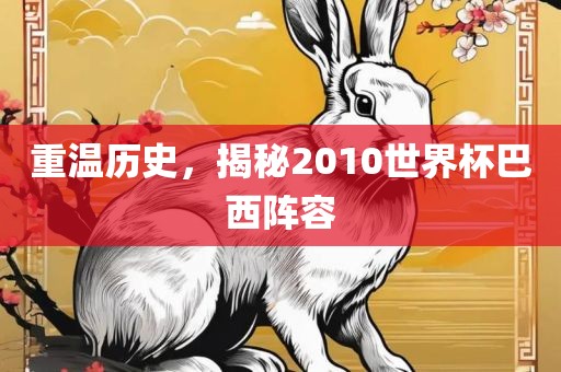 重温历史，揭秘2010世界杯巴西阵容